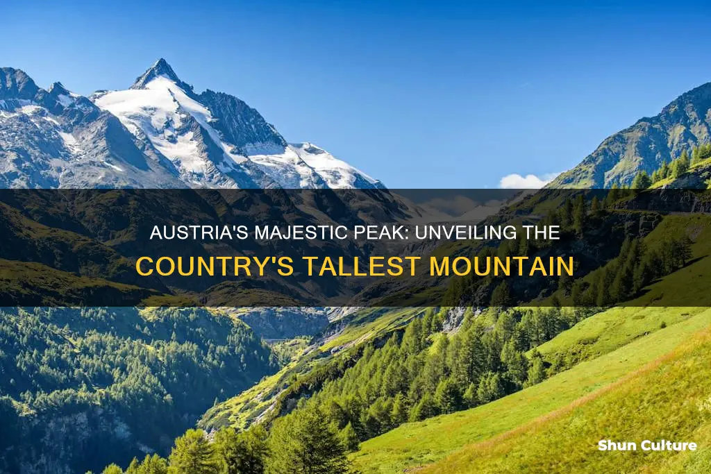 what is the highest mountain in austria