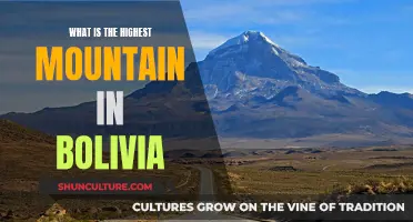 Exploring Bolivia's Tallest Peak: A Climber's Dream