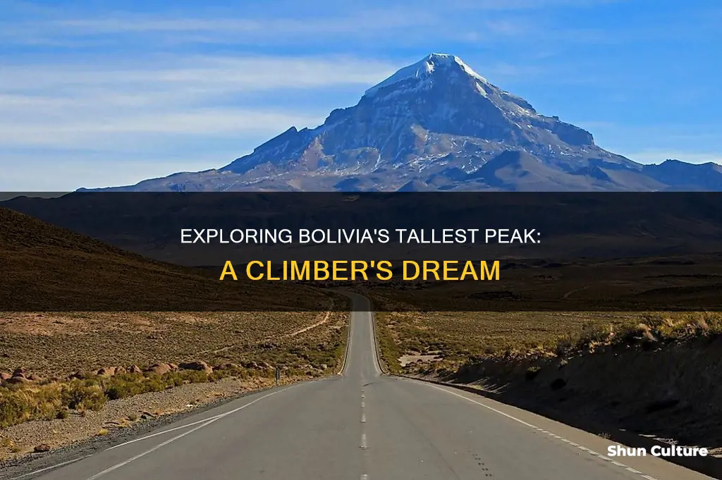 what is the highest mountain in bolivia