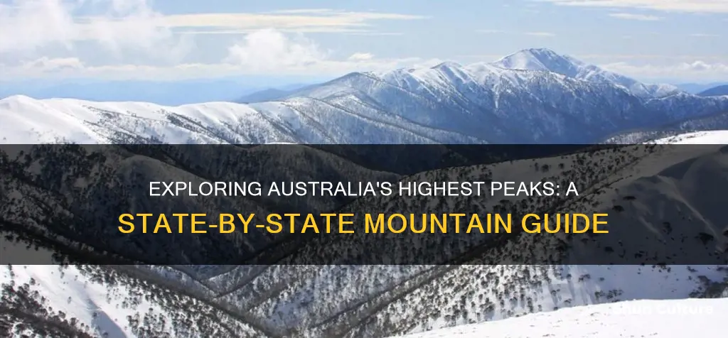 what is the highest mountain in each state of australia