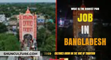 Top Earning Careers in Bangladesh: Unveiling the Highest Paid Jobs