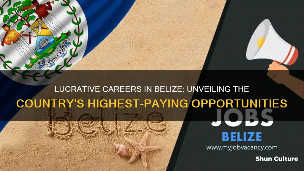 what is the highest paying job in belize