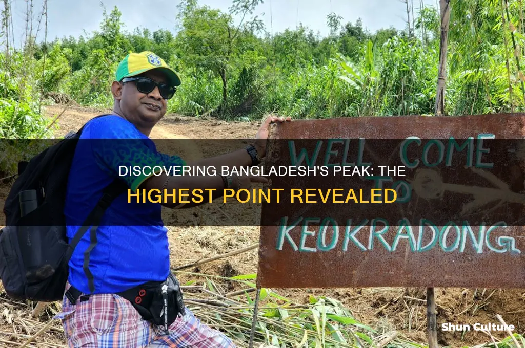 what is the highest point in bangladesh