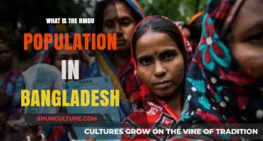 Hindu Population in Bangladesh: Demographics, Trends, and Cultural Insights