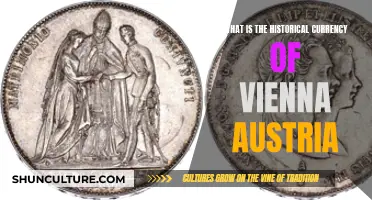 The Golden Guilder: Vienna's Historical Currency Explored