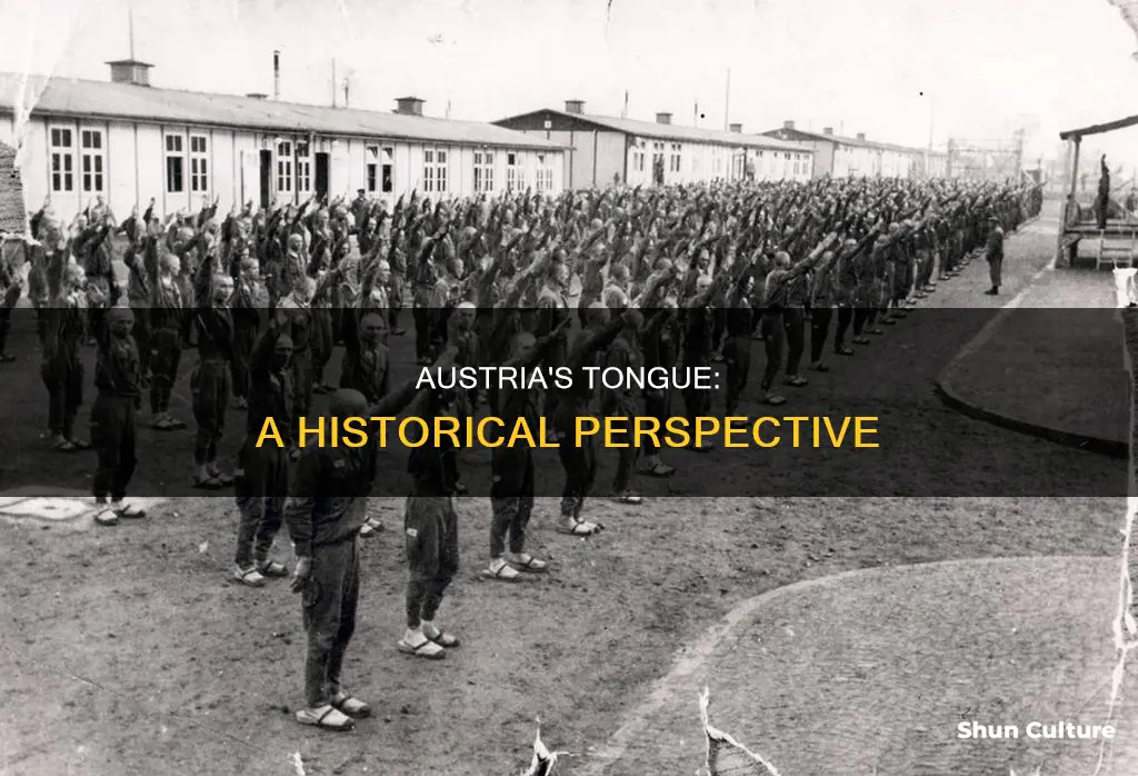 what is the history behind the language spoken in austria
