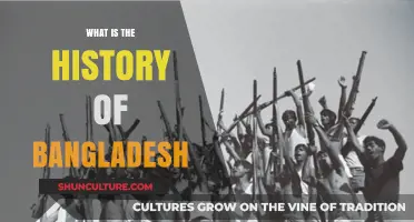 Exploring Bangladesh's Rich History: From Ancient Origins to Independence