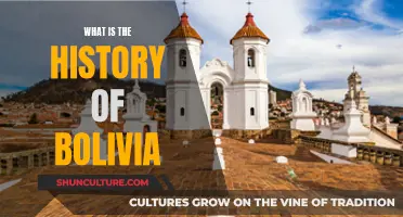 Bolivia's Historical Journey: From Past to Present