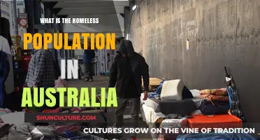 The Homeless Crisis in Australia: Population Insights