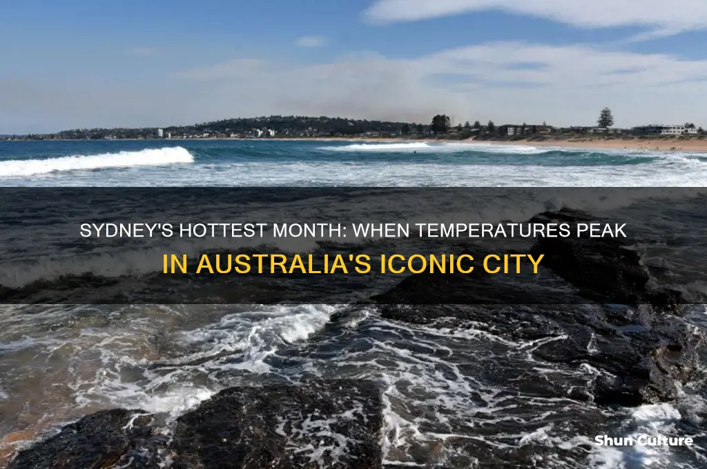 what is the hottest month in sydney australia