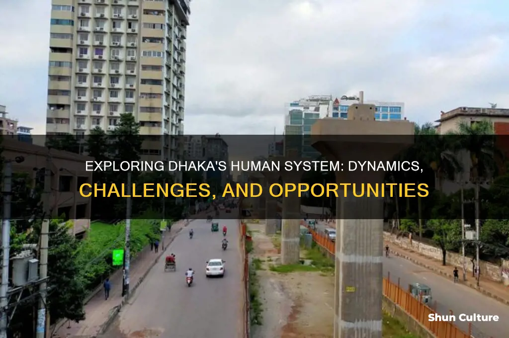 what is the human system of dhaka bangladesh