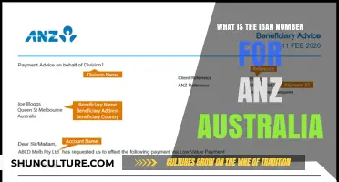 IBAN Numbers: ANZ Australia's Guide