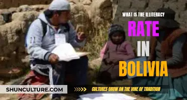 Bolivia's Illiteracy Rate: A Comprehensive Overview