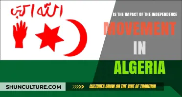 Algeria's Independence Movement: Shaping History, Identity, and National Legacy