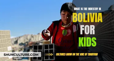 Exploring Bolivia's Industries: A Kid's Guide