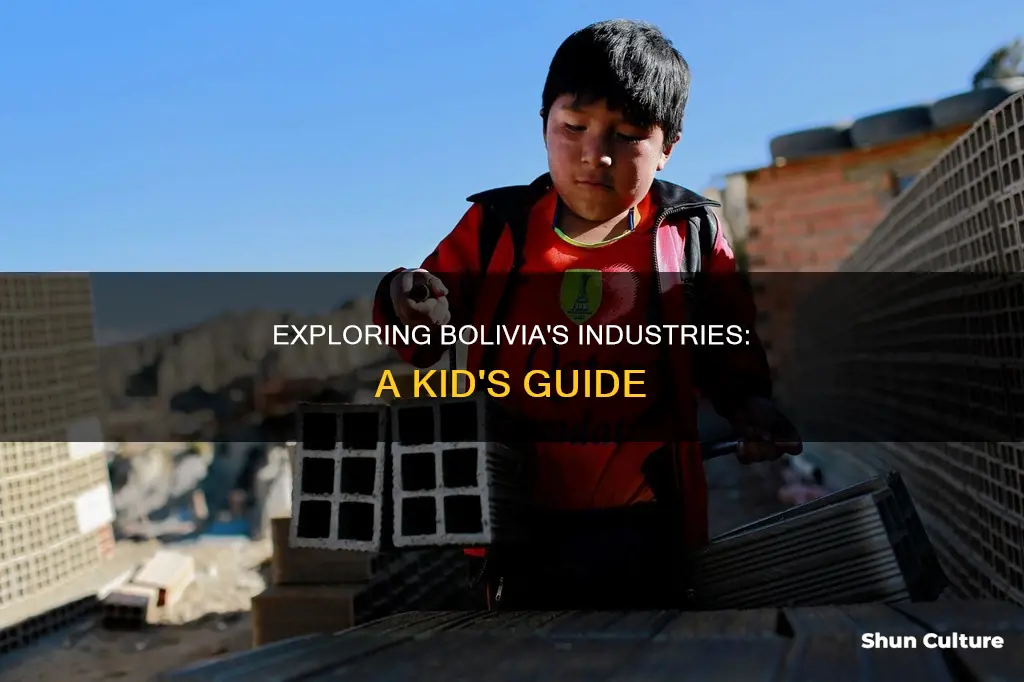 what is the indestry in bolivia for kids