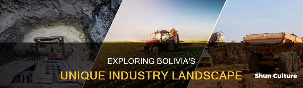 what is the indestry in bolivia