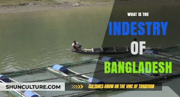 Exploring Bangladesh's Diverse Industries: A Comprehensive Economic Overview