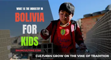 Exploring Bolivia's Industries: A Kid's Guide