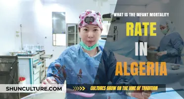 Understanding Algeria's Infant Mortality Rate: Current Statistics and Trends