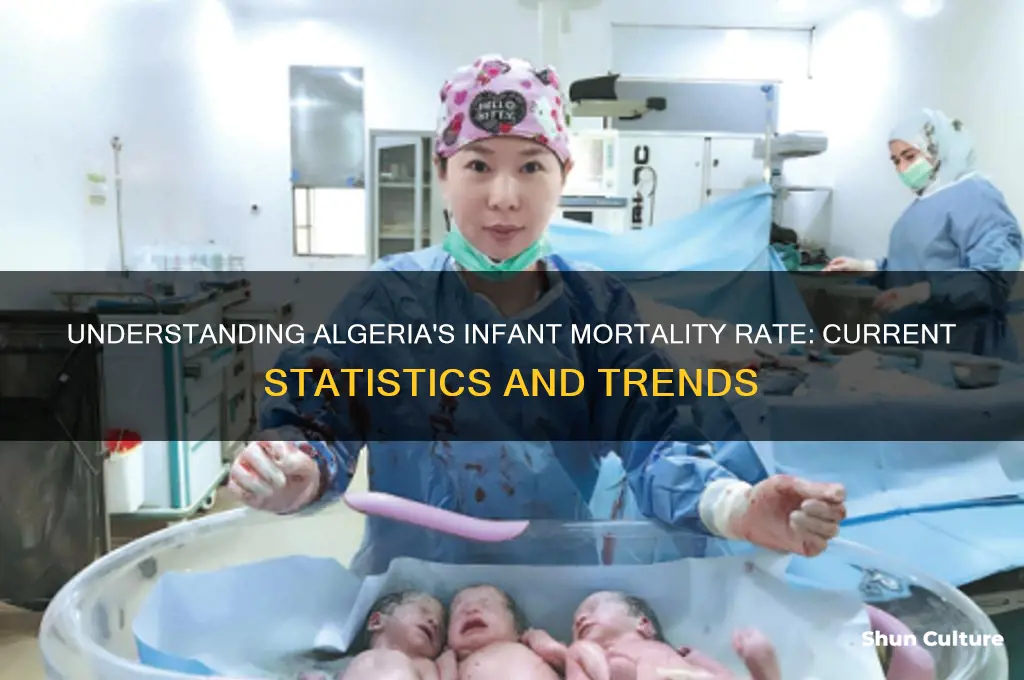 what is the infant mortality rate in algeria