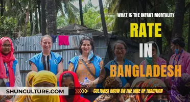 Understanding Bangladesh's Infant Mortality Rate: Current Trends and Challenges