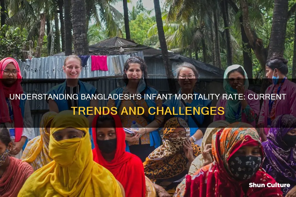 what is the infant mortality rate in bangladesh