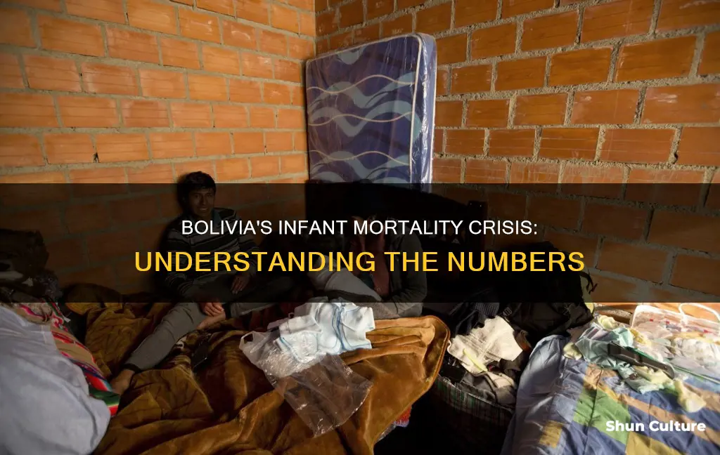 what is the infant mortality rate in bolivia