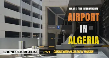 Discovering Algeria's Main International Airport: A Comprehensive Guide