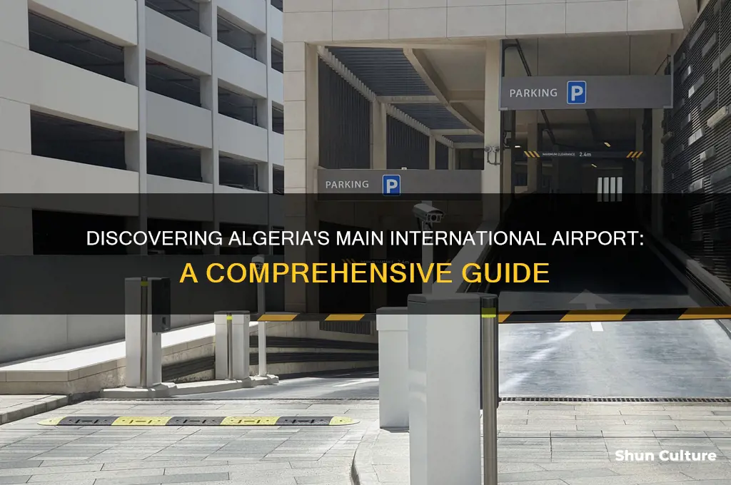 what is the international airport in algeria