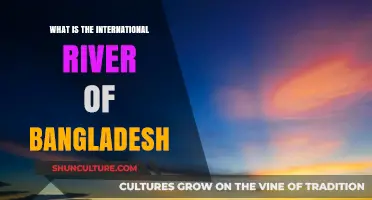 Exploring Bangladesh's Lifeline: The International River Padma