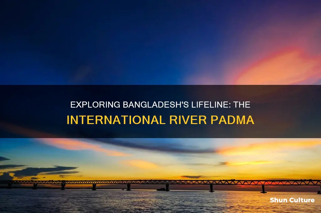 what is the international river of bangladesh