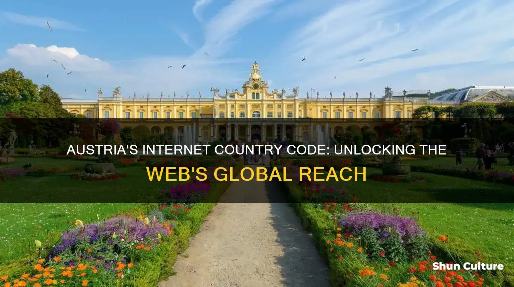 what is the internet country code for austria