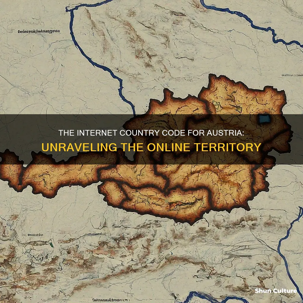 what is the internet country code for austria