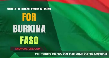 Exploring the Digital Landscape: Burkina Faso's Internet Domain Extension