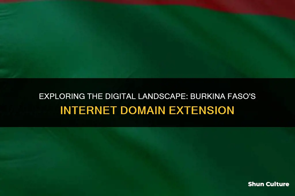 what is the internet domain extension for burkina faso