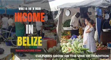 The Lure of Belize: Uncovering the Country's Main Income Sources