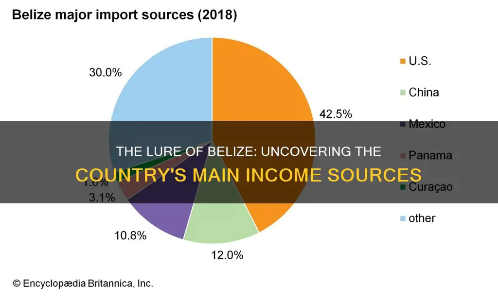 what is the ir main income in belize