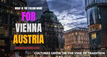 Vienna's Italian Nickname: A Cultural Journey