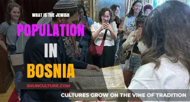 Exploring Bosnia's Jewish Community: History, Demographics, and Cultural Presence