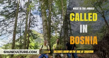Exploring Bosnia's Lush Wilderness: Unveiling the Name of Its Jungle