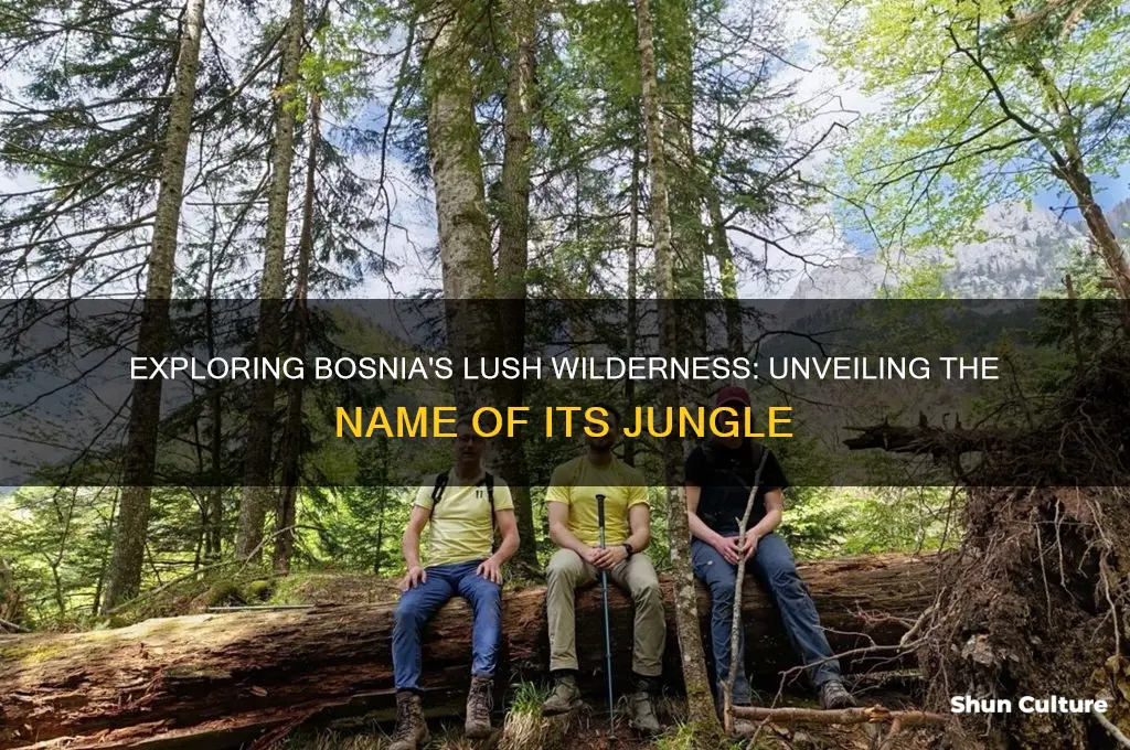 what is the jungle called in bosnia