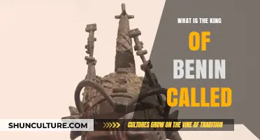 Unveiling the Monarch of Benin: A Royal Insight