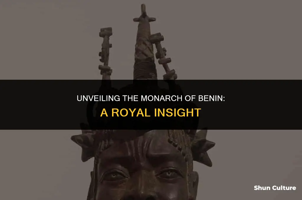 what is the king of benin called