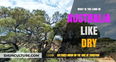 Exploring Australia's Arid Landscapes: Dry Land Features and Climate