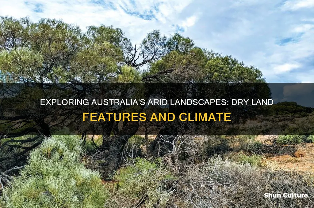 what is the land in australia like dry