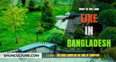 Exploring Bangladesh's Diverse Landscapes: Rivers, Plains, and Hills