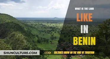 Exploring Benin's Diverse Landscapes: From Coastal Plains to Mountainous Regions