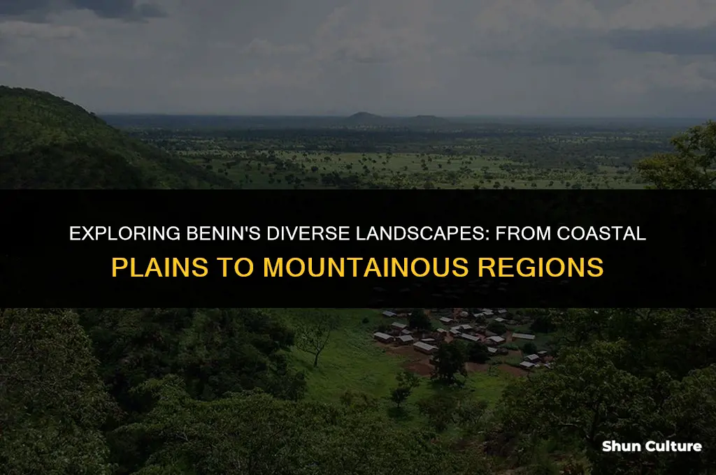 what is the land like in benin