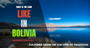 Exploring Bolivia's Unique and Diverse Landscape